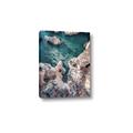 Picture of Private Cove _GroupedProduct_Rectangle_Portrait_Photography _GroupedProduct_Rectangle_Portrait_Canvas_