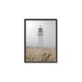 Picture of Lighthouse Dream _GroupedProduct_Rectangle_Portrait_Photography _GroupedProduct_Rectangle_Portrait_Canvas_Framed_