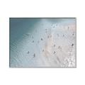 Picture of Seaside Swim _GroupedProduct_Rectangle_Landscape_Photography _GroupedProduct_Rectangle_Landscape_Canvas_Framed_