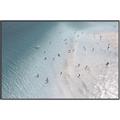 Picture of Seaside Swim _GroupedProduct_Rectangle_Landscape_Photography _GroupedProduct_Rectangle_Landscape_Canvas_Framed_