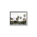 Picture of Palms Above the Sea _GroupedProduct_Rectangle_Landscape_Photography _GroupedProduct_Rectangle_Landscape_Canvas_Framed_