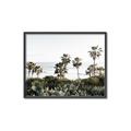 Picture of Palms Above the Sea _GroupedProduct_Rectangle_Landscape_Photography _GroupedProduct_Rectangle_Landscape_Canvas_Framed_