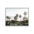 Picture of Palms Above the Sea _GroupedProduct_Rectangle_Landscape_Photography _GroupedProduct_Rectangle_Landscape_Canvas_Framed_