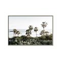 Picture of Palms Above the Sea _GroupedProduct_Rectangle_Landscape_Photography _GroupedProduct_Rectangle_Landscape_Canvas_Framed_