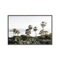 Picture of Palms Above the Sea _GroupedProduct_Rectangle_Landscape_Photography _GroupedProduct_Rectangle_Landscape_Canvas_Framed_