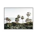 Picture of Palms Above the Sea _GroupedProduct_Rectangle_Landscape_Photography _GroupedProduct_Rectangle_Landscape_Canvas_Framed_