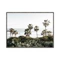 Picture of Palms Above the Sea _GroupedProduct_Rectangle_Landscape_Photography _GroupedProduct_Rectangle_Landscape_Canvas_Framed_