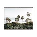 Picture of Palms Above the Sea _GroupedProduct_Rectangle_Landscape_Photography _GroupedProduct_Rectangle_Landscape_Canvas_Framed_