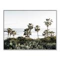Picture of Palms Above the Sea _GroupedProduct_Rectangle_Landscape_Photography _GroupedProduct_Rectangle_Landscape_Canvas_Framed_