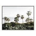 Picture of Palms Above the Sea _GroupedProduct_Rectangle_Landscape_Photography _GroupedProduct_Rectangle_Landscape_Canvas_Framed_
