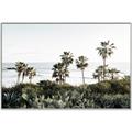 Picture of Palms Above the Sea _GroupedProduct_Rectangle_Landscape_Photography _GroupedProduct_Rectangle_Landscape_Canvas_Framed_