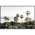 Picture of Palms Above the Sea _GroupedProduct_Rectangle_Landscape_Photography _GroupedProduct_Rectangle_Landscape_Canvas_Framed_