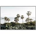 Picture of Palms Above the Sea _GroupedProduct_Rectangle_Landscape_Photography _GroupedProduct_Rectangle_Landscape_Canvas_Framed_