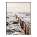 Picture of Rocks wood Sea _GroupedProduct_Rectangle_Portrait_Photography _GroupedProduct_Rectangle_Portrait_Canvas_Framed_