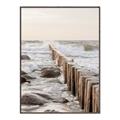 Picture of Rocks wood Sea _GroupedProduct_Rectangle_Portrait_Photography _GroupedProduct_Rectangle_Portrait_Canvas_Framed_