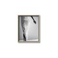 Picture of All dressed Up _GroupedProduct_Rectangle_Portrait_Photography _GroupedProduct_Rectangle_Portrait_Canvas_Framed_