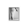 Picture of All dressed Up _GroupedProduct_Rectangle_Portrait_Photography _GroupedProduct_Rectangle_Portrait_Canvas_Framed_