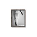 Picture of All dressed Up _GroupedProduct_Rectangle_Portrait_Photography _GroupedProduct_Rectangle_Portrait_Canvas_Framed_
