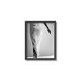 Picture of All dressed Up _GroupedProduct_Rectangle_Portrait_Photography _GroupedProduct_Rectangle_Portrait_Canvas_Framed_