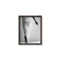 Picture of All dressed Up _GroupedProduct_Rectangle_Portrait_Photography _GroupedProduct_Rectangle_Portrait_Canvas_Framed_