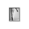 Picture of All dressed Up _GroupedProduct_Rectangle_Portrait_Photography _GroupedProduct_Rectangle_Portrait_Canvas_Framed_