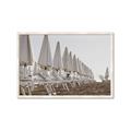 Picture of Seaside Shade _GroupedProduct_Rectangle_Landscape_Photography _GroupedProduct_Rectangle_Landscape_Framed_Matted_