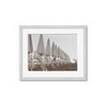 Picture of Seaside Shade _GroupedProduct_Rectangle_Landscape_Photography _GroupedProduct_Rectangle_Landscape_Framed_Matted_