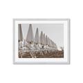 Picture of Seaside Shade _GroupedProduct_Rectangle_Landscape_Photography _GroupedProduct_Rectangle_Landscape_Framed_Matted_