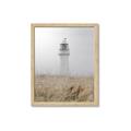 Picture of Lighthouse Dream _GroupedProduct_Rectangle_Portrait_Photography _GroupedProduct_Rectangle_Portrait_Framed_Matted_
