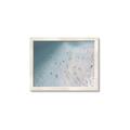 Picture of Seaside Swim _GroupedProduct_Rectangle_Landscape_Photography _GroupedProduct_Rectangle_Landscape_Framed_Matted_
