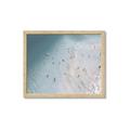 Picture of Seaside Swim _GroupedProduct_Rectangle_Landscape_Photography _GroupedProduct_Rectangle_Landscape_Framed_Matted_
