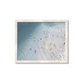 Picture of Seaside Swim _GroupedProduct_Rectangle_Landscape_Photography _GroupedProduct_Rectangle_Landscape_Framed_Matted_