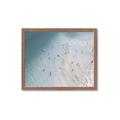 Picture of Seaside Swim _GroupedProduct_Rectangle_Landscape_Photography _GroupedProduct_Rectangle_Landscape_Framed_Matted_