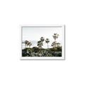 Picture of Palms Above the Sea _GroupedProduct_Rectangle_Landscape_Photography _GroupedProduct_Rectangle_Landscape_Framed_Matted_