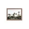 Picture of Palms Above the Sea _GroupedProduct_Rectangle_Landscape_Photography _GroupedProduct_Rectangle_Landscape_Framed_Matted_