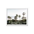 Picture of Palms Above the Sea _GroupedProduct_Rectangle_Landscape_Photography _GroupedProduct_Rectangle_Landscape_Framed_Matted_