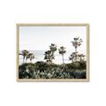 Picture of Palms Above the Sea _GroupedProduct_Rectangle_Landscape_Photography _GroupedProduct_Rectangle_Landscape_Framed_Matted_