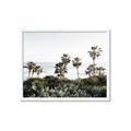 Picture of Palms Above the Sea _GroupedProduct_Rectangle_Landscape_Photography _GroupedProduct_Rectangle_Landscape_Framed_Matted_