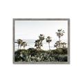 Picture of Palms Above the Sea _GroupedProduct_Rectangle_Landscape_Photography _GroupedProduct_Rectangle_Landscape_Framed_Matted_
