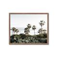 Picture of Palms Above the Sea _GroupedProduct_Rectangle_Landscape_Photography _GroupedProduct_Rectangle_Landscape_Framed_Matted_