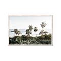 Picture of Palms Above the Sea _GroupedProduct_Rectangle_Landscape_Photography _GroupedProduct_Rectangle_Landscape_Framed_Matted_
