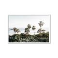 Picture of Palms Above the Sea _GroupedProduct_Rectangle_Landscape_Photography _GroupedProduct_Rectangle_Landscape_Framed_Matted_