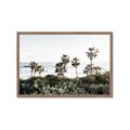 Picture of Palms Above the Sea _GroupedProduct_Rectangle_Landscape_Photography _GroupedProduct_Rectangle_Landscape_Framed_Matted_