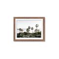 Picture of Palms Above the Sea _GroupedProduct_Rectangle_Landscape_Photography _GroupedProduct_Rectangle_Landscape_Framed_Matted_