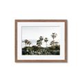 Picture of Palms Above the Sea _GroupedProduct_Rectangle_Landscape_Photography _GroupedProduct_Rectangle_Landscape_Framed_Matted_