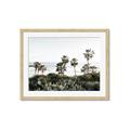 Picture of Palms Above the Sea _GroupedProduct_Rectangle_Landscape_Photography _GroupedProduct_Rectangle_Landscape_Framed_Matted_
