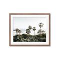Picture of Palms Above the Sea _GroupedProduct_Rectangle_Landscape_Photography _GroupedProduct_Rectangle_Landscape_Framed_Matted_