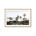 Picture of Palms Above the Sea _GroupedProduct_Rectangle_Landscape_Photography _GroupedProduct_Rectangle_Landscape_Framed_Matted_