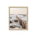 Picture of Rocks wood Sea _GroupedProduct_Rectangle_Portrait_Photography _GroupedProduct_Rectangle_Portrait_Framed_Matted_
