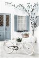Picture of White Bike  _GroupedProduct_Rectangle_Portrait_Photography _GroupedProduct_Rectangle_Portrait_Unframed_Print_Only_